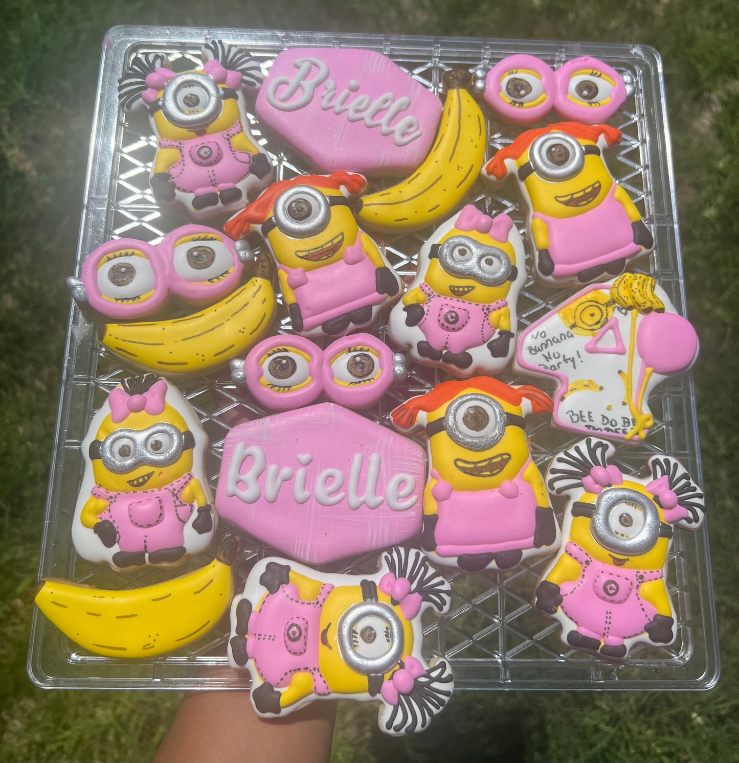 Decorated Cookies
